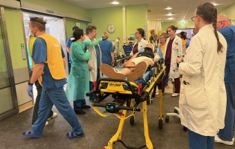 Masskannatanute juhtumid